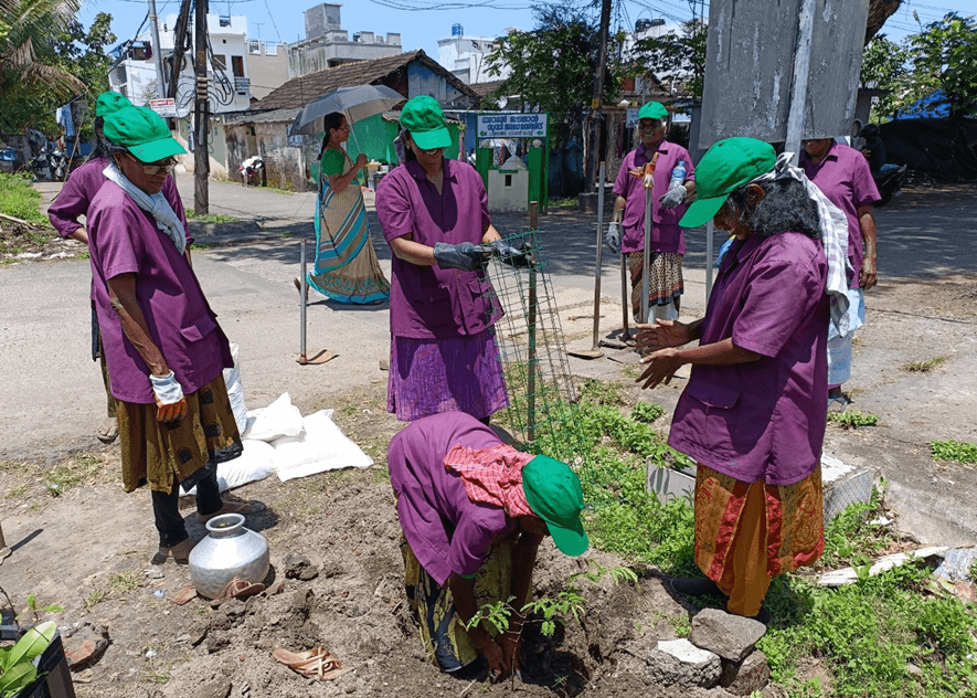 穿着紫色衬衫、戴着绿色帽子的妇女在植树。