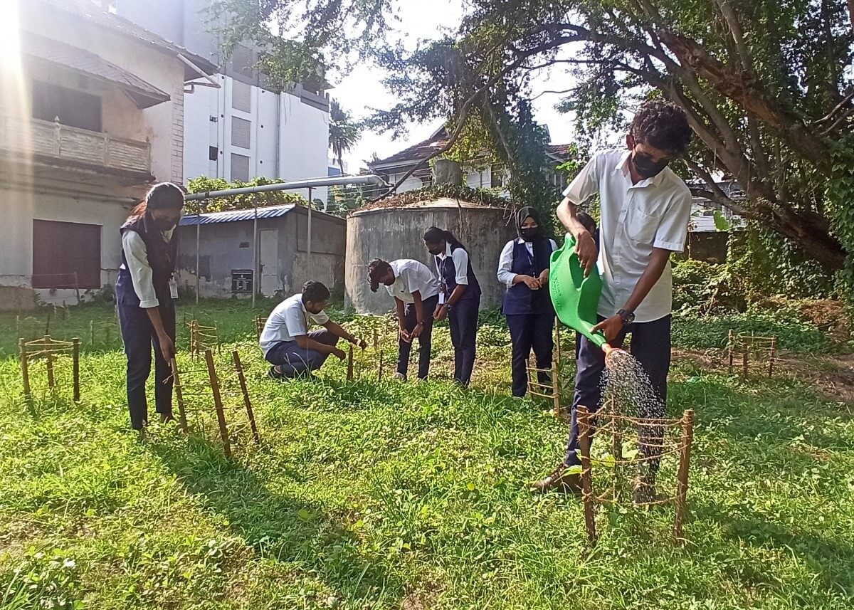 学生们在高知县的一个花园工地上看护。