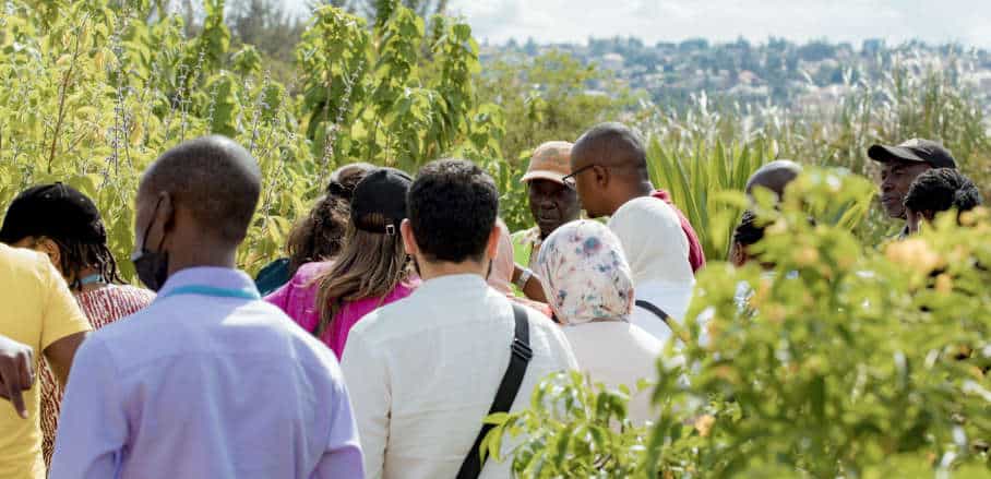 2022年在基加利举行的UrbanShift 城市学院期间，一个团体参观了Nyandungu湿地。
