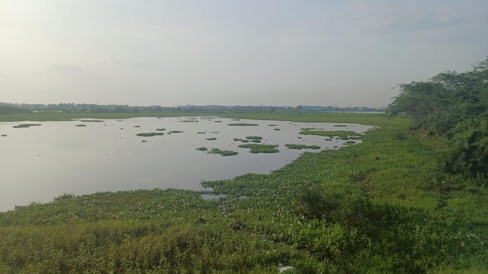 钦奈湖