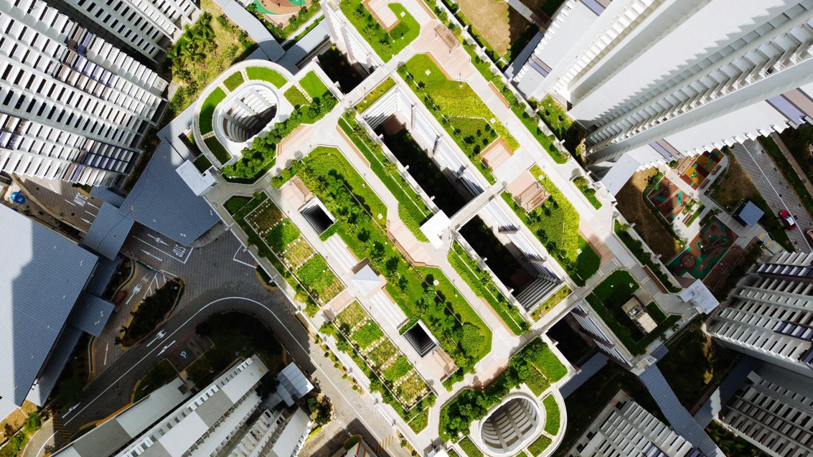 绿色屋顶