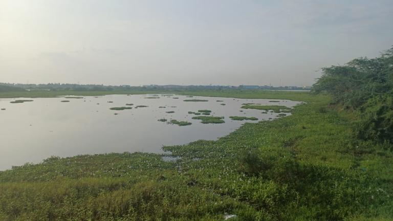钦奈湖