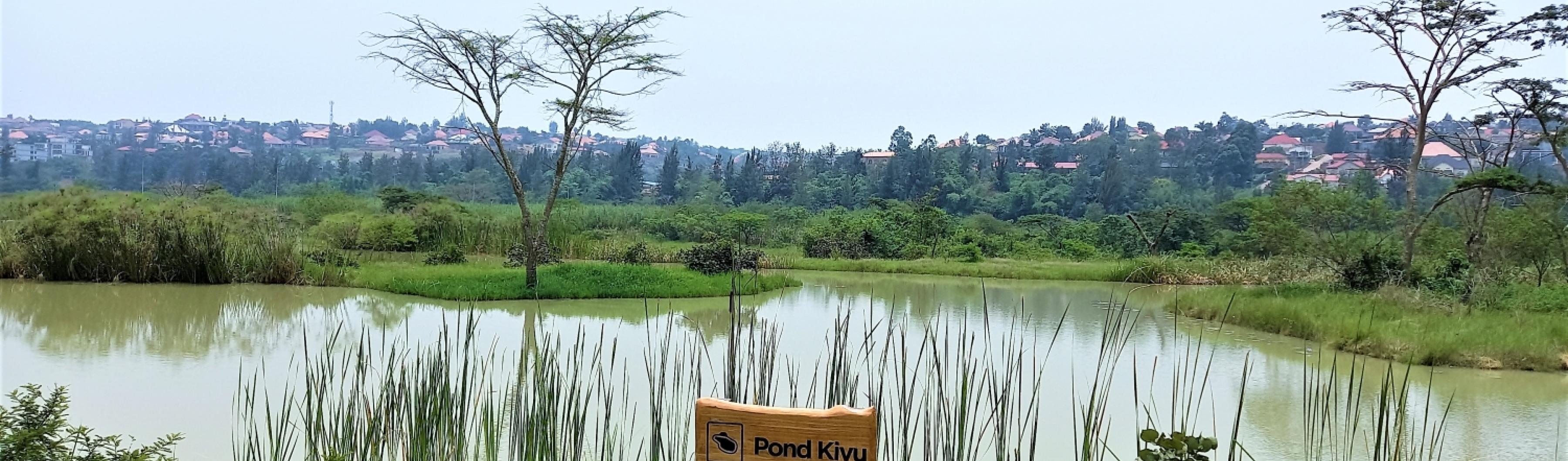 基加利-尼安敦古湿地 卢旺达