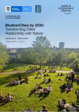 到2030年的生物多样性城市