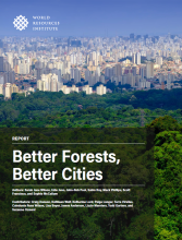 报告封面 - 更好的森林，更好的城市