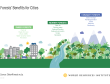 森林对城市的益处信息图