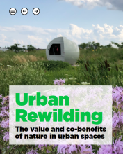 题为《城市野化》的报告的封面：自然在城市空间的价值和共同利益。背景是一块长着绿草和紫色花朵的田地，以及一个球形的结构。